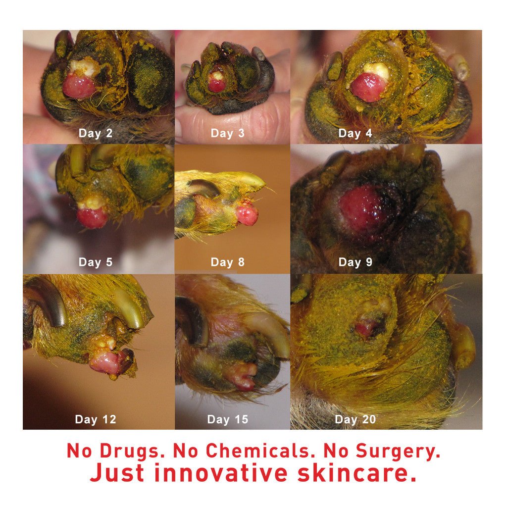 SuperHeal - Woof Living