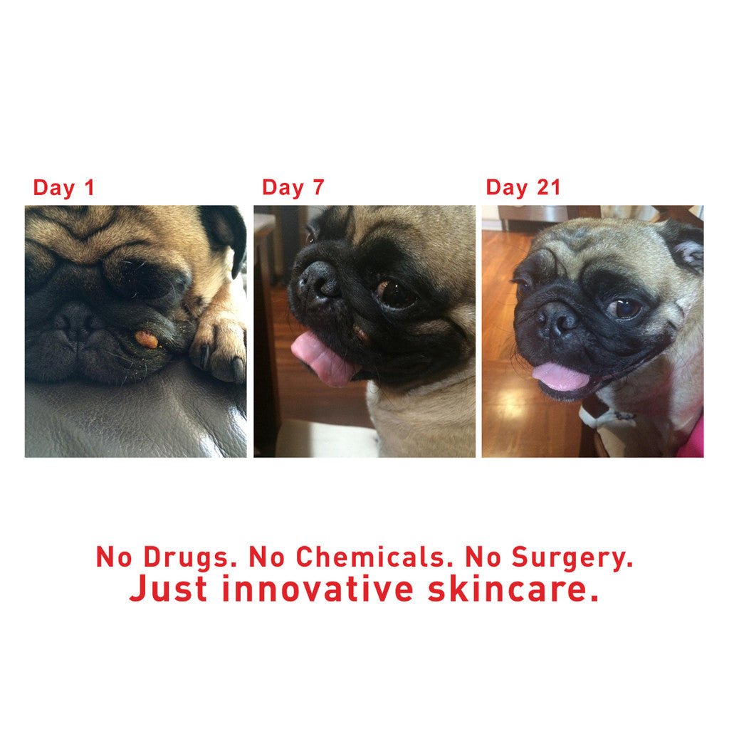 SuperHeal - Woof Living