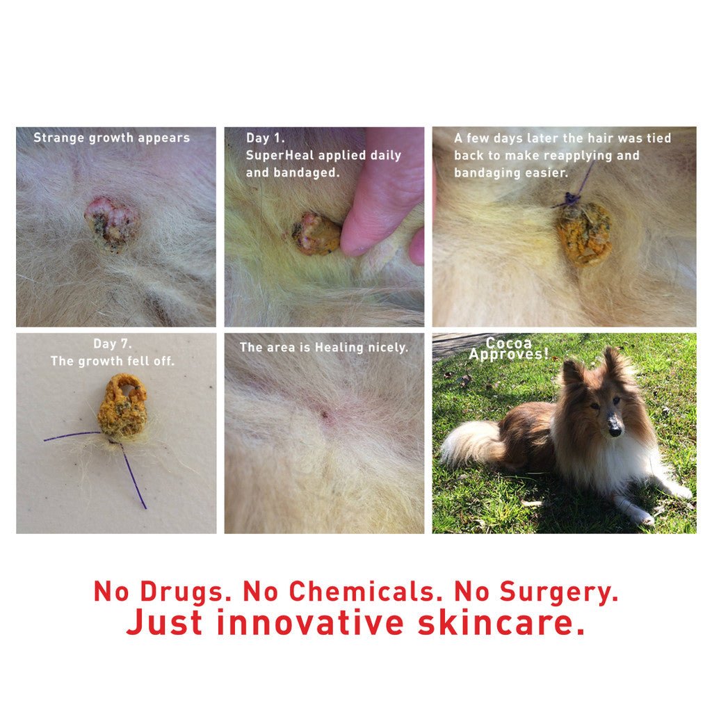 SuperHeal - Woof Living