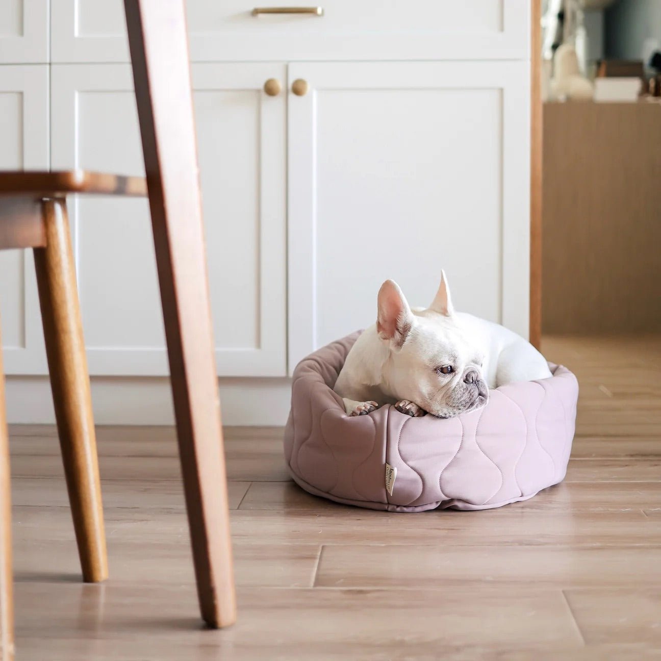 TAART - Woof Living