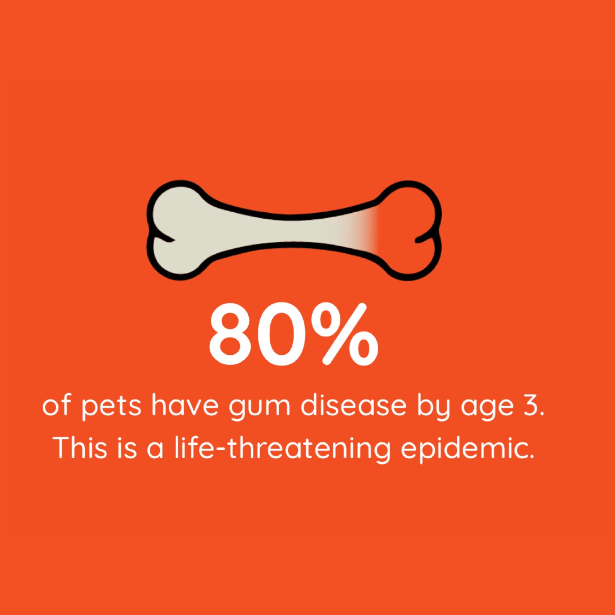 TEEF! Daily Dog Dental Care Regimen - Woof Living