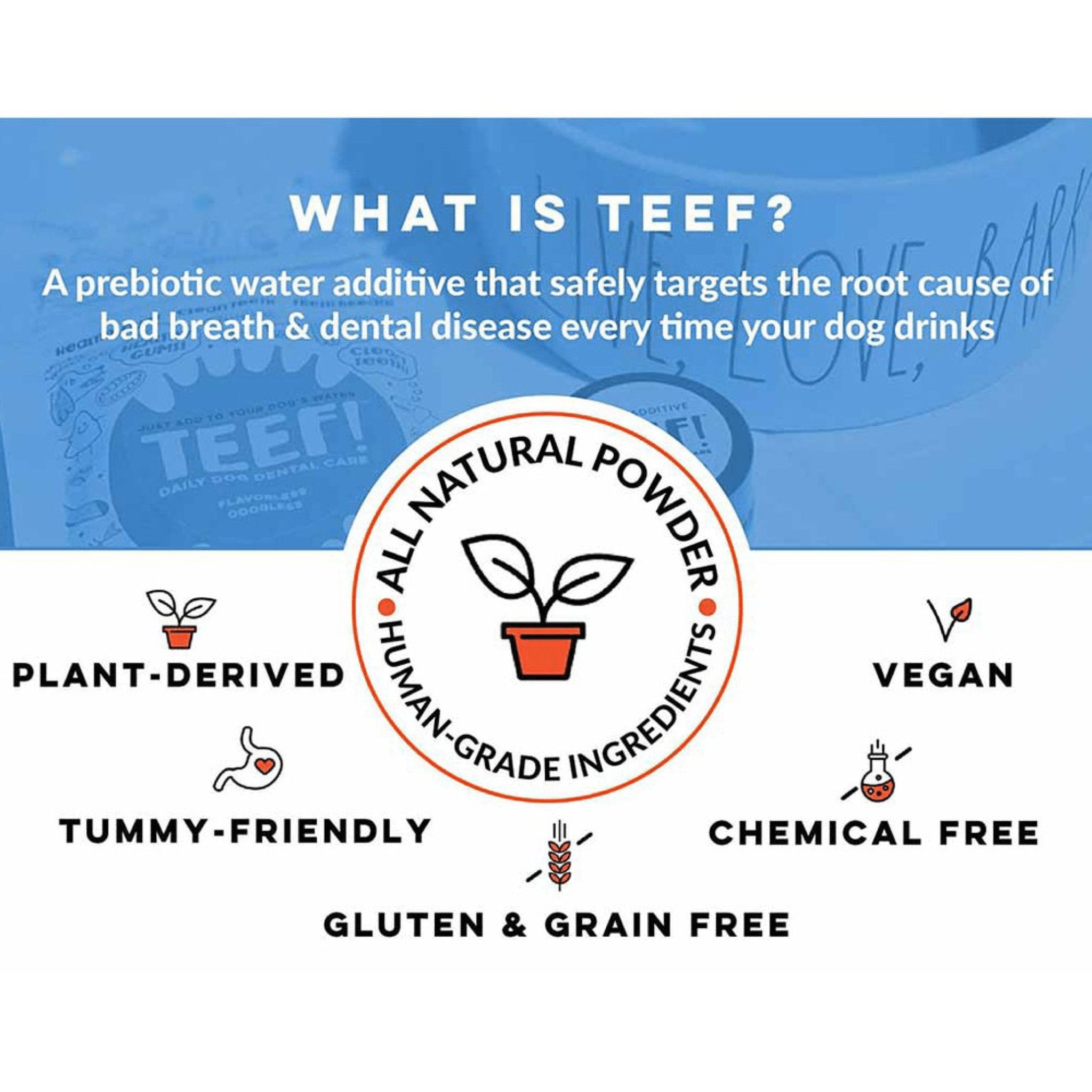 TEEF! Daily Dog Dental Care Regimen - Woof Living