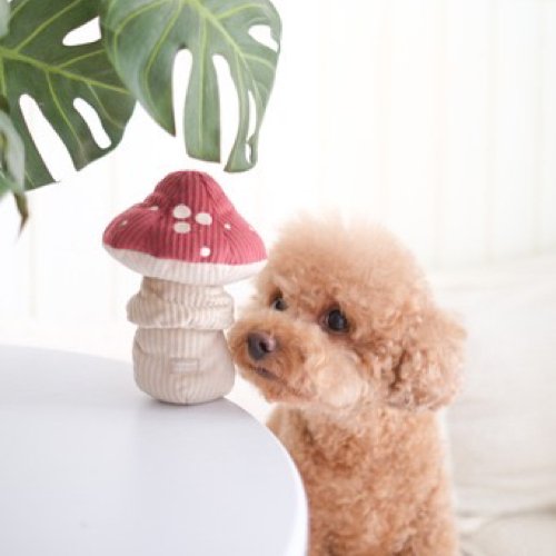 Toxic Shroom - Woof Living