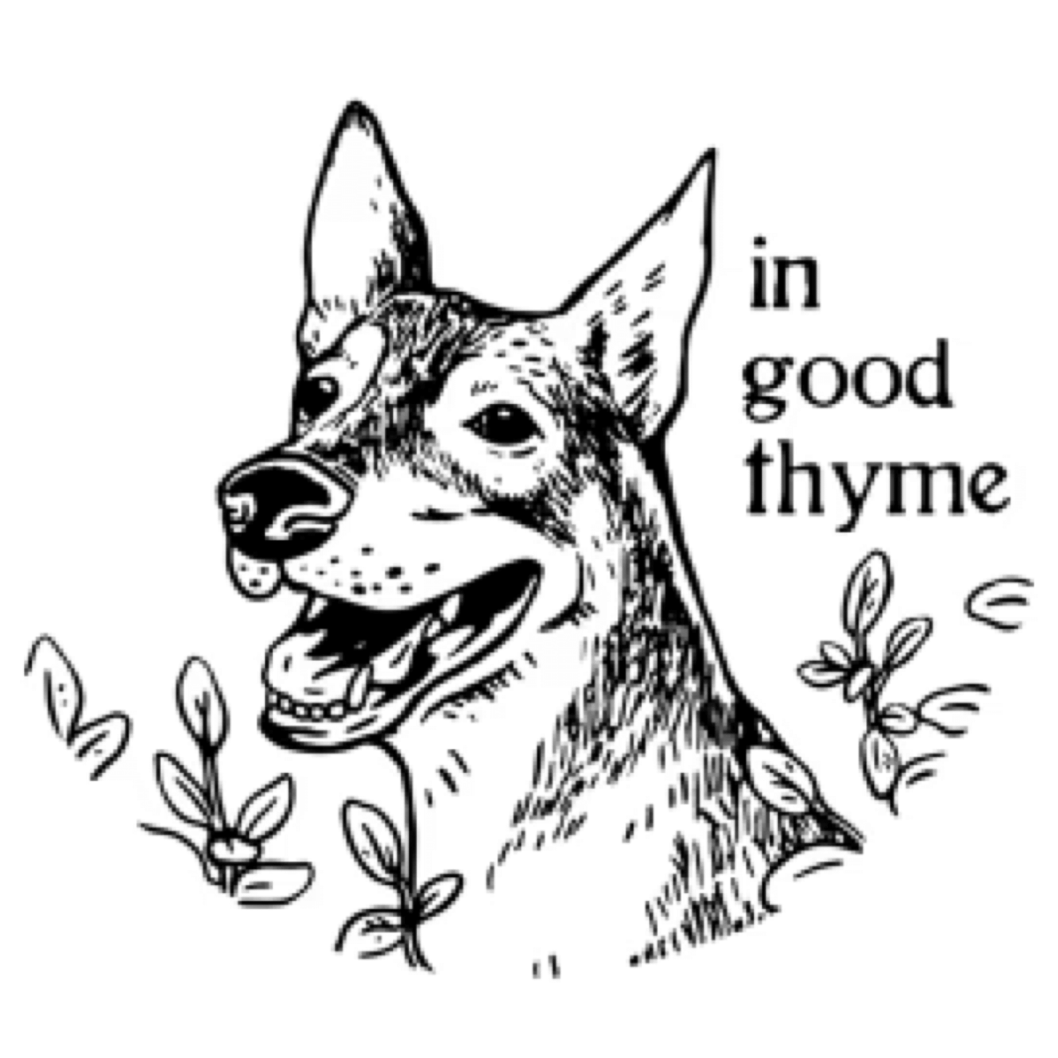 In Good Thyme - Woof Living