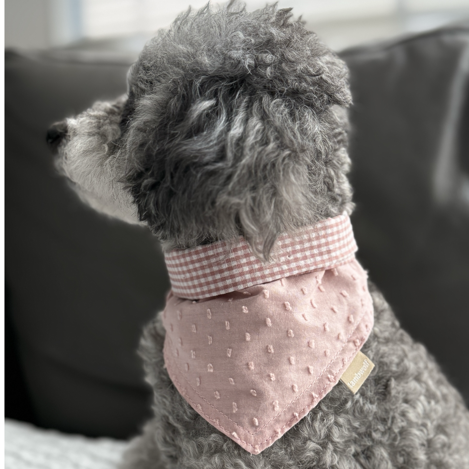 Reversible Pink Bandana
