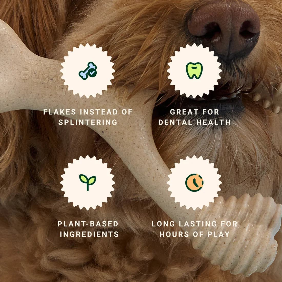 BetterBone Veggie