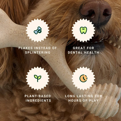 BetterBone Veggie