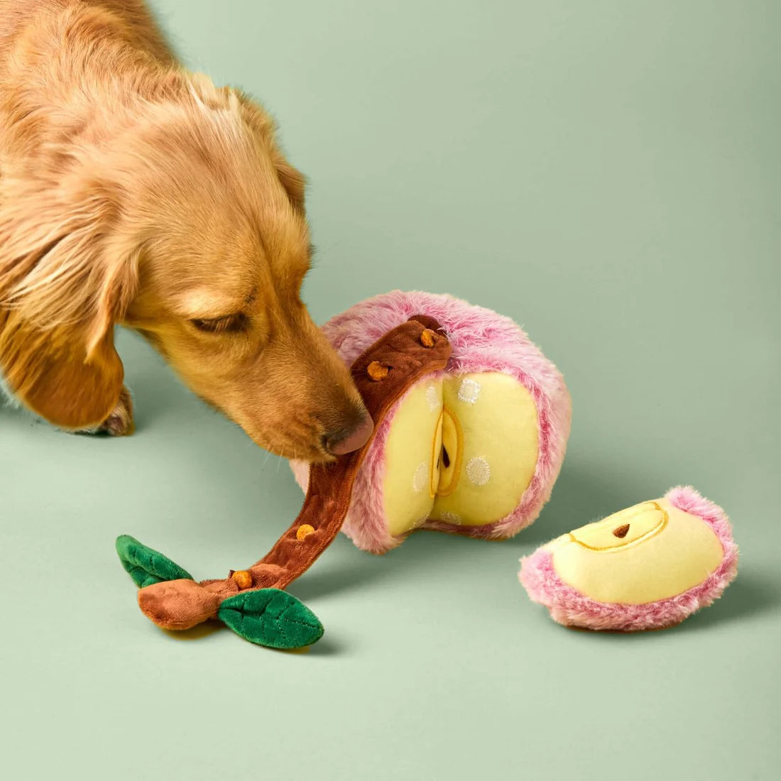 Apple Interactive Snuffle Toy