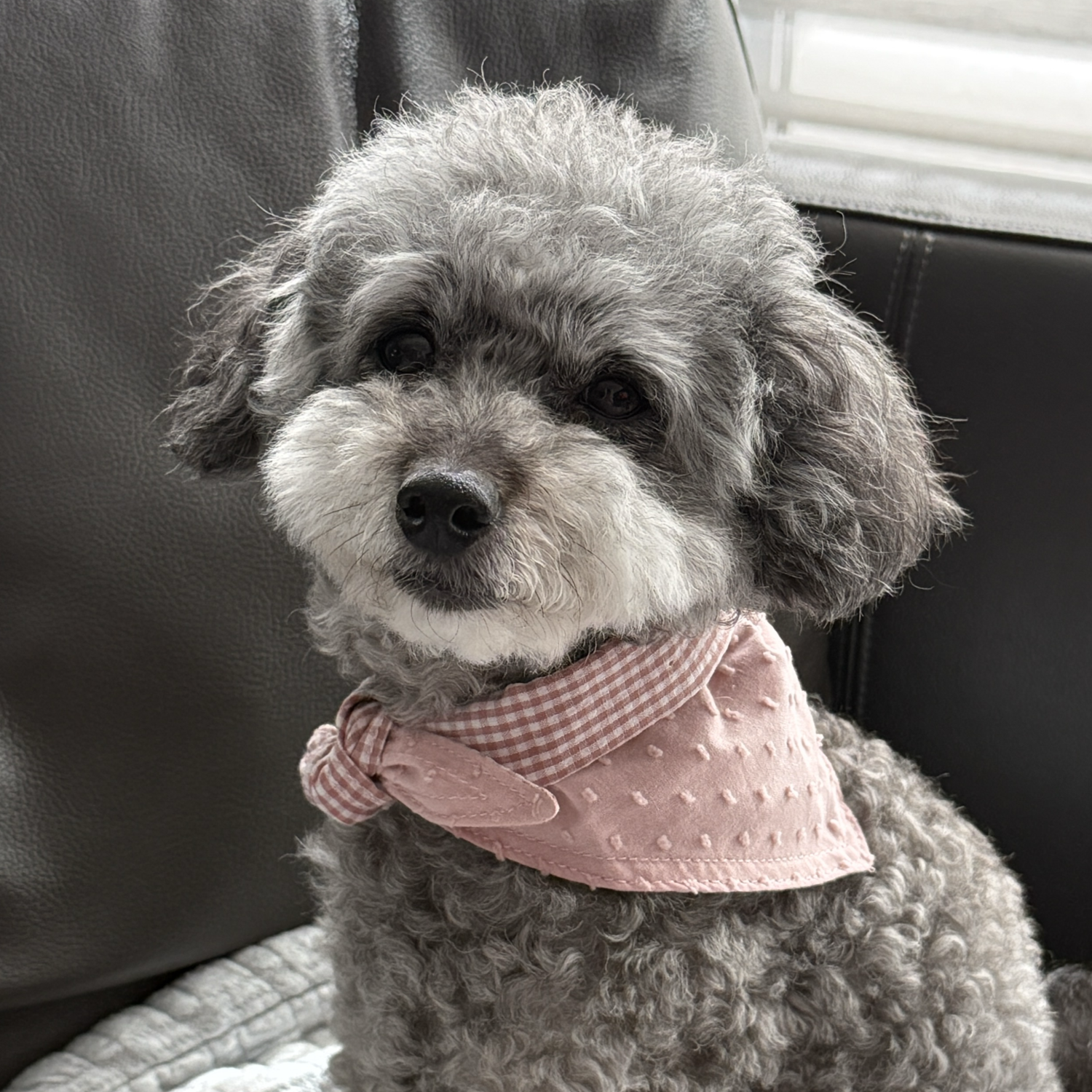 Reversible Pink Bandana