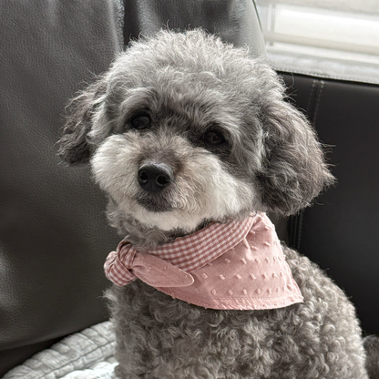 Reversible Pink Bandana