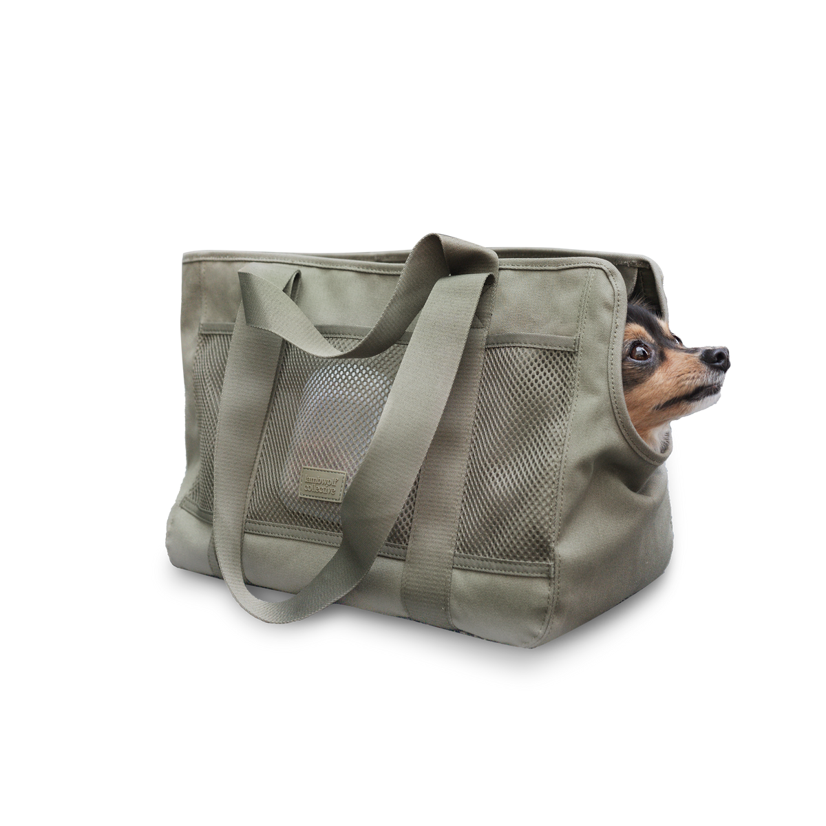 Subway Pet Carrier 2.0