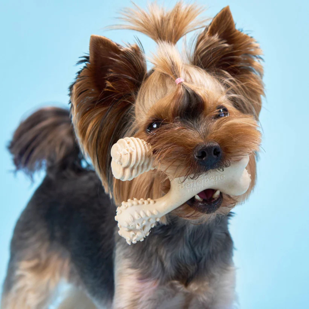 BetterBone Classic -Hypoallergenic