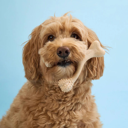 BetterBone Classic -Hypoallergenic