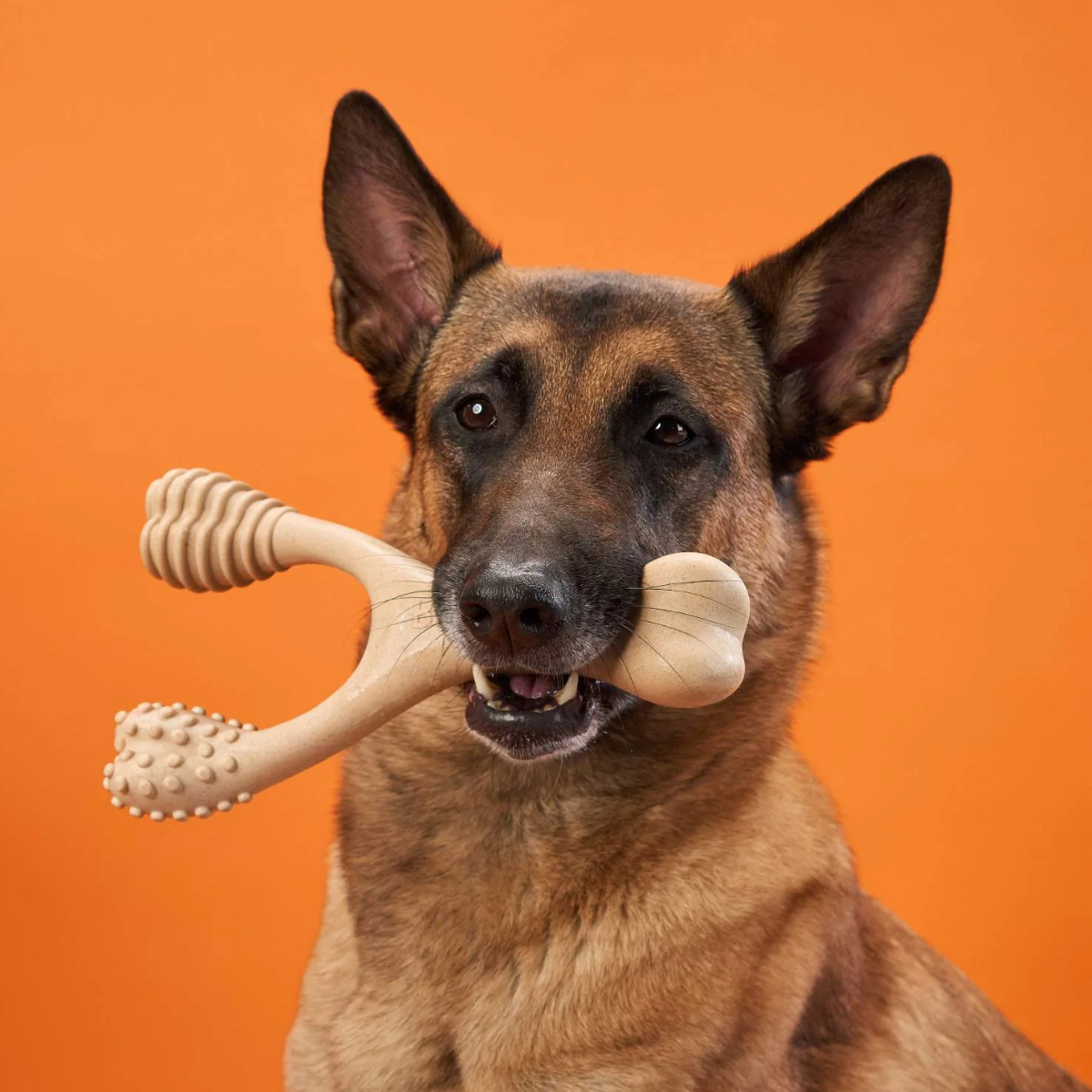 BetterBone Classic -Hypoallergenic