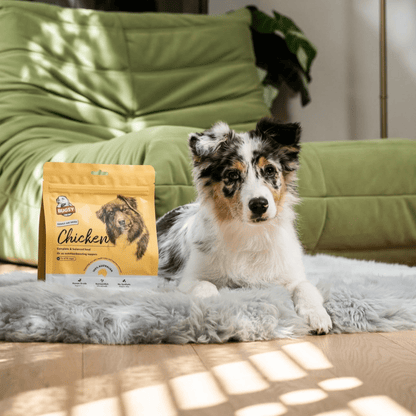 Air Dried Chicken - Woof Living