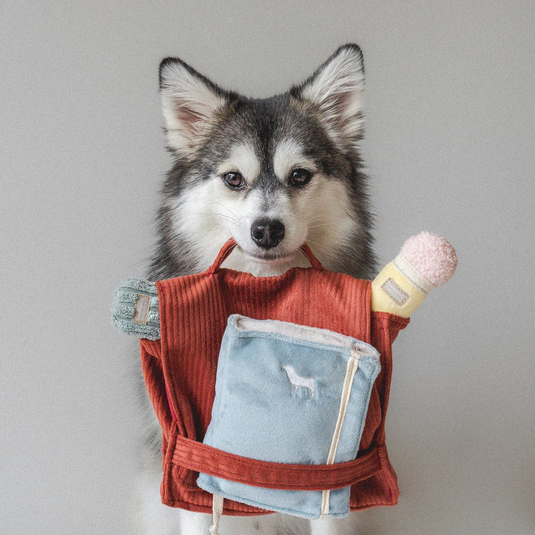 Back To School - Woof Living