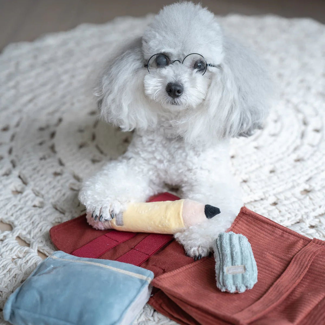 Back To School - Woof Living