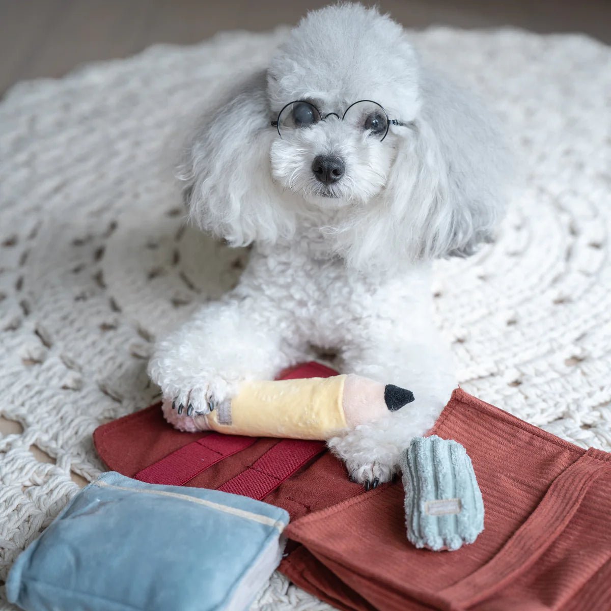 Back To School - Woof Living