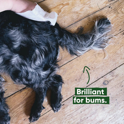 Bamboo Dog Wipes, Unscented - Woof Living