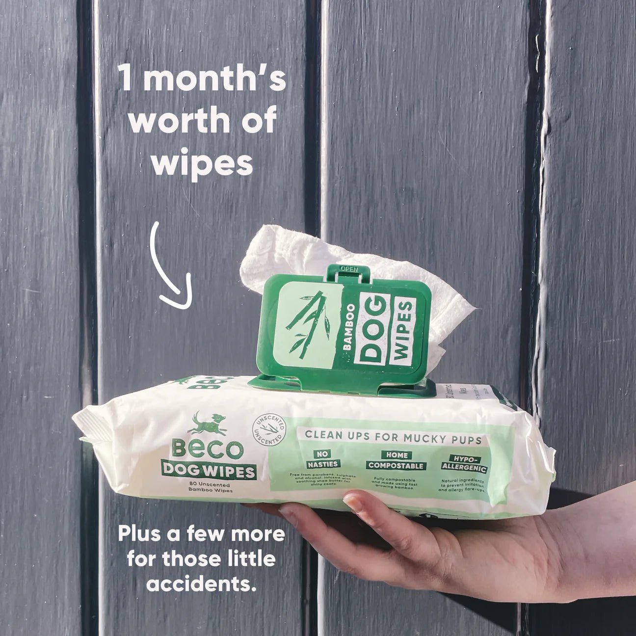 Bamboo Dog Wipes, Unscented - Woof Living