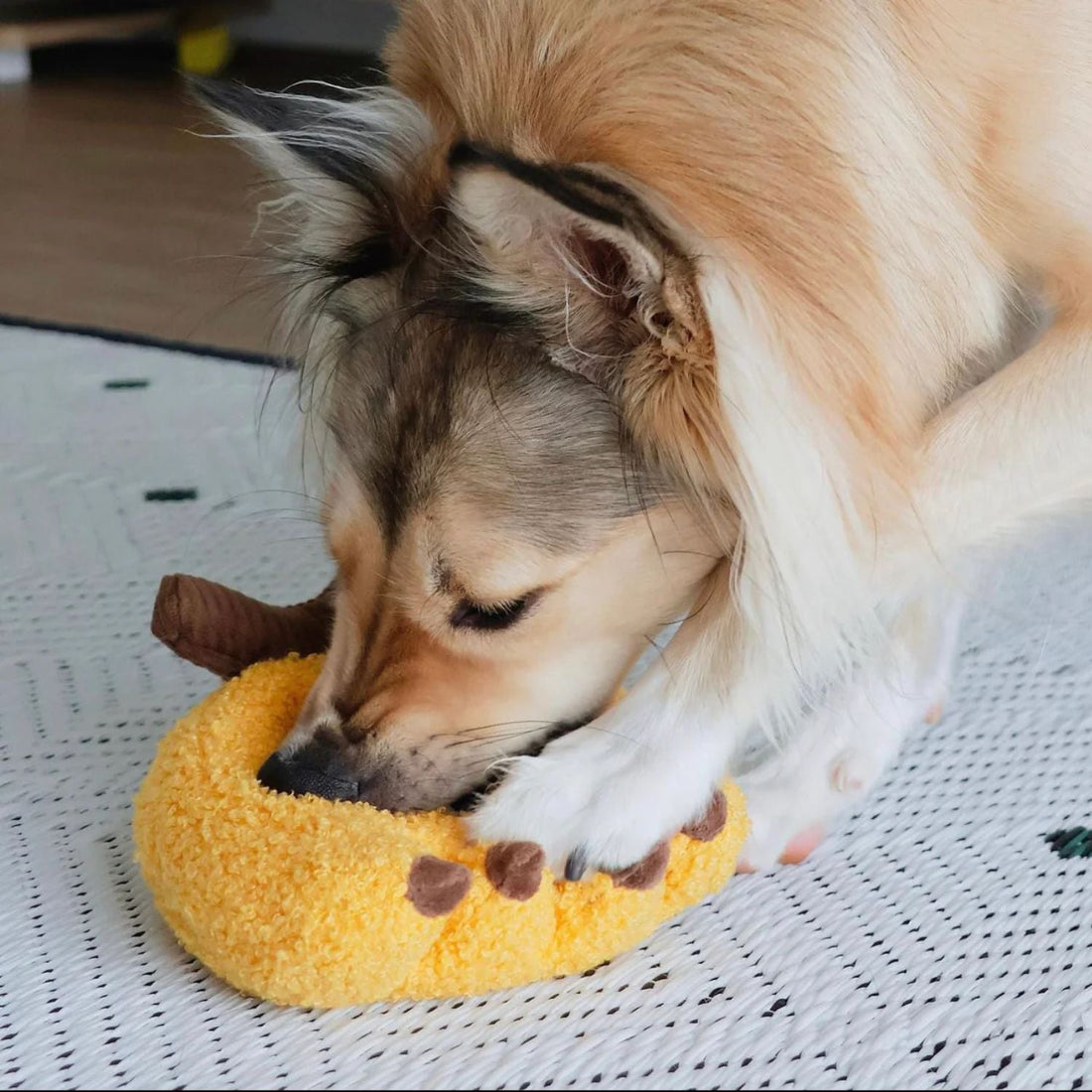 Banana - Woof Living