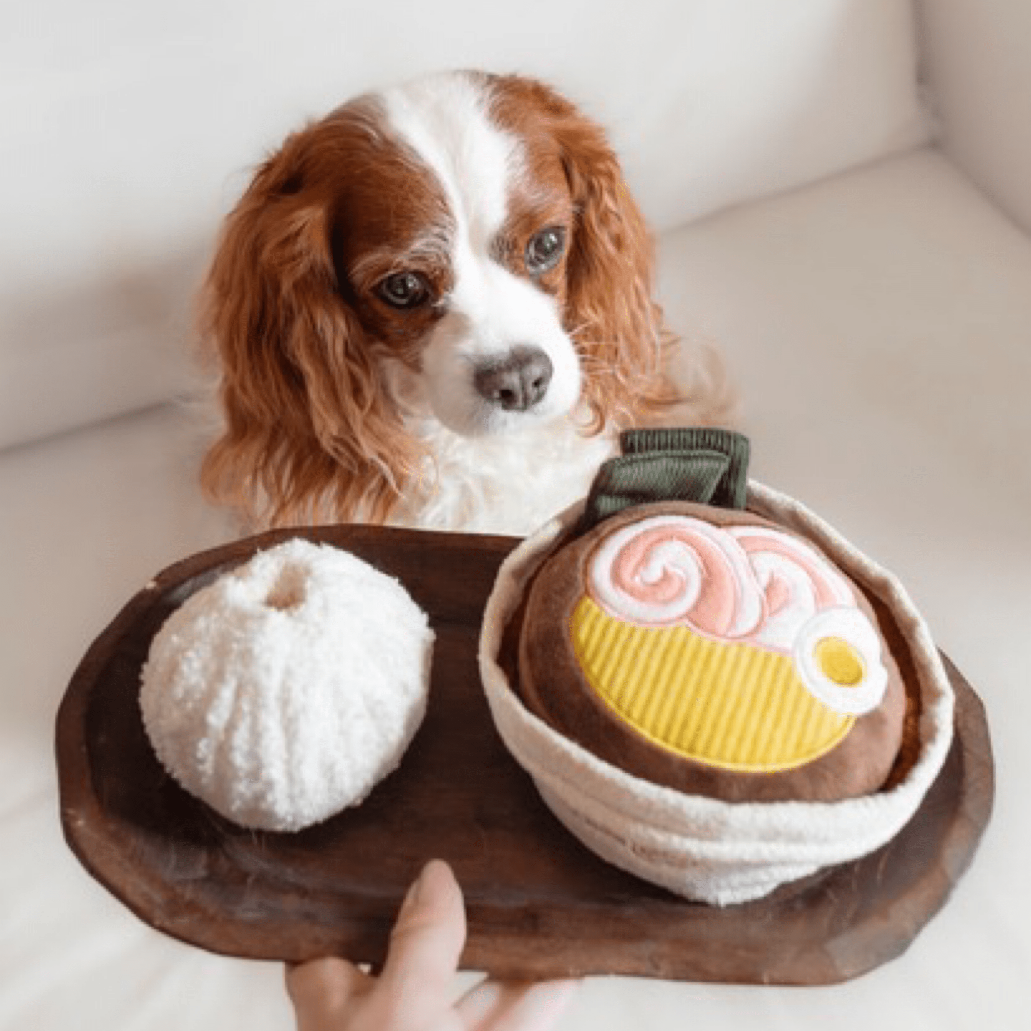 Bao - Woof Living