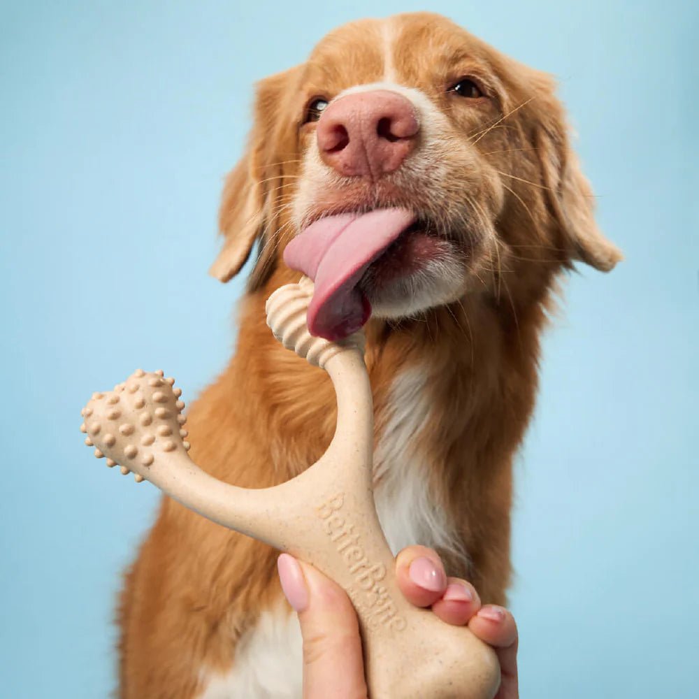 BetterBone Classic - Hard - Woof Living