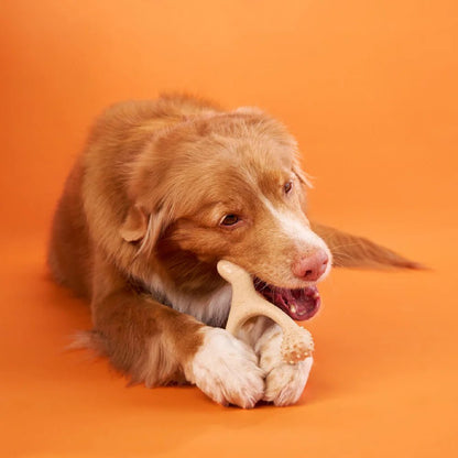 BetterBone Classic - Soft - Woof Living