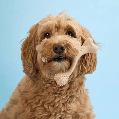 BetterBone Venison - Woof Living