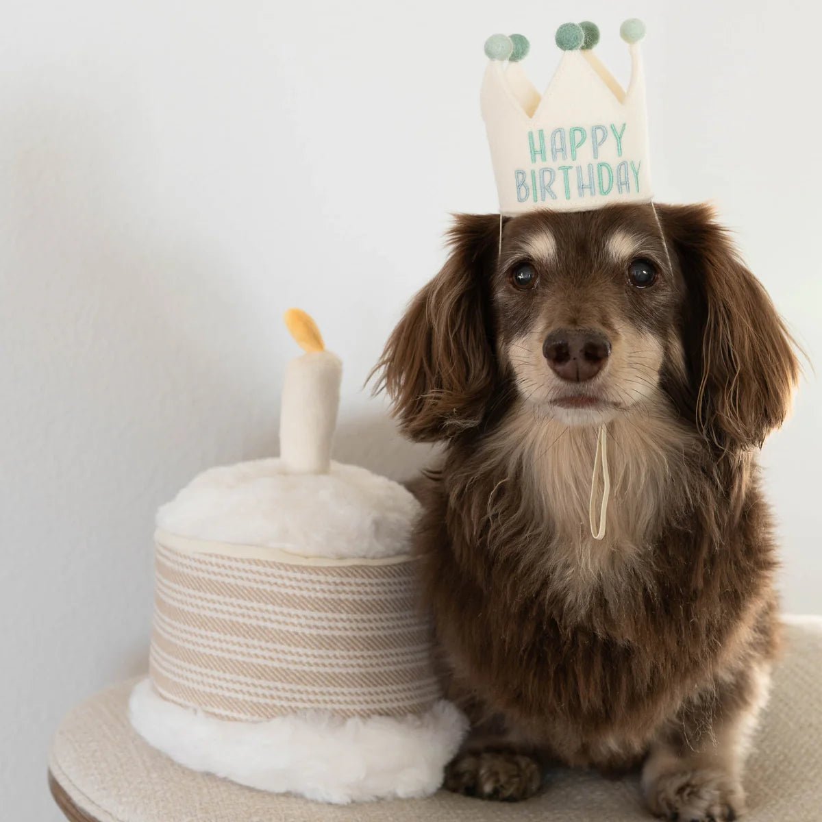 Birthday Cake - Woof Living