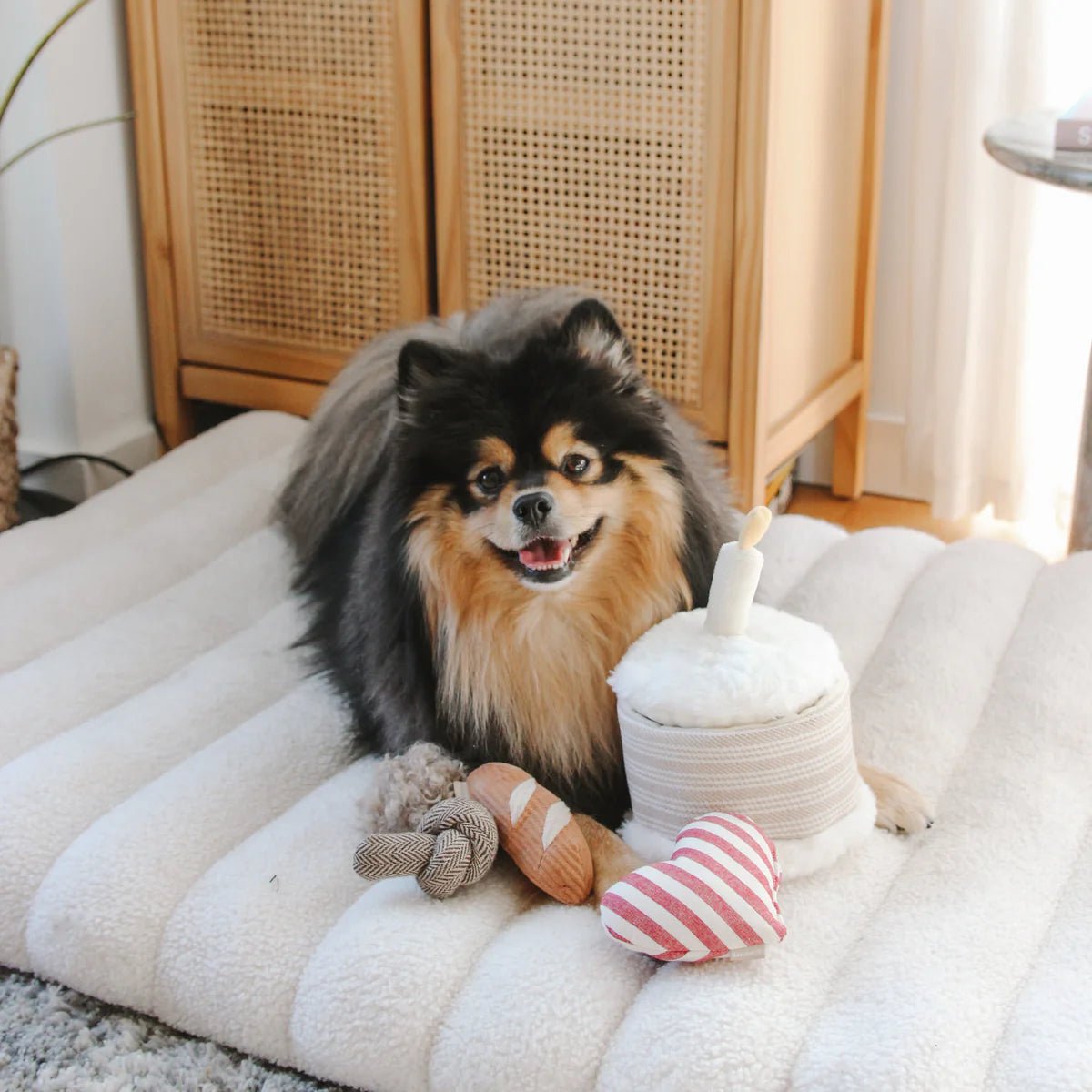 Birthday Cake - Woof Living