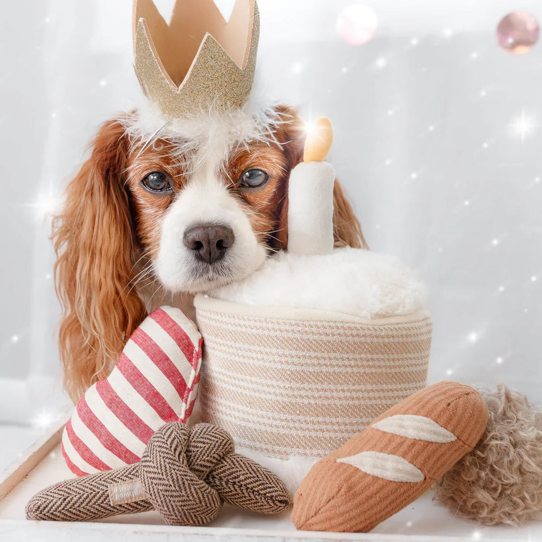 Birthday Cake - Woof Living