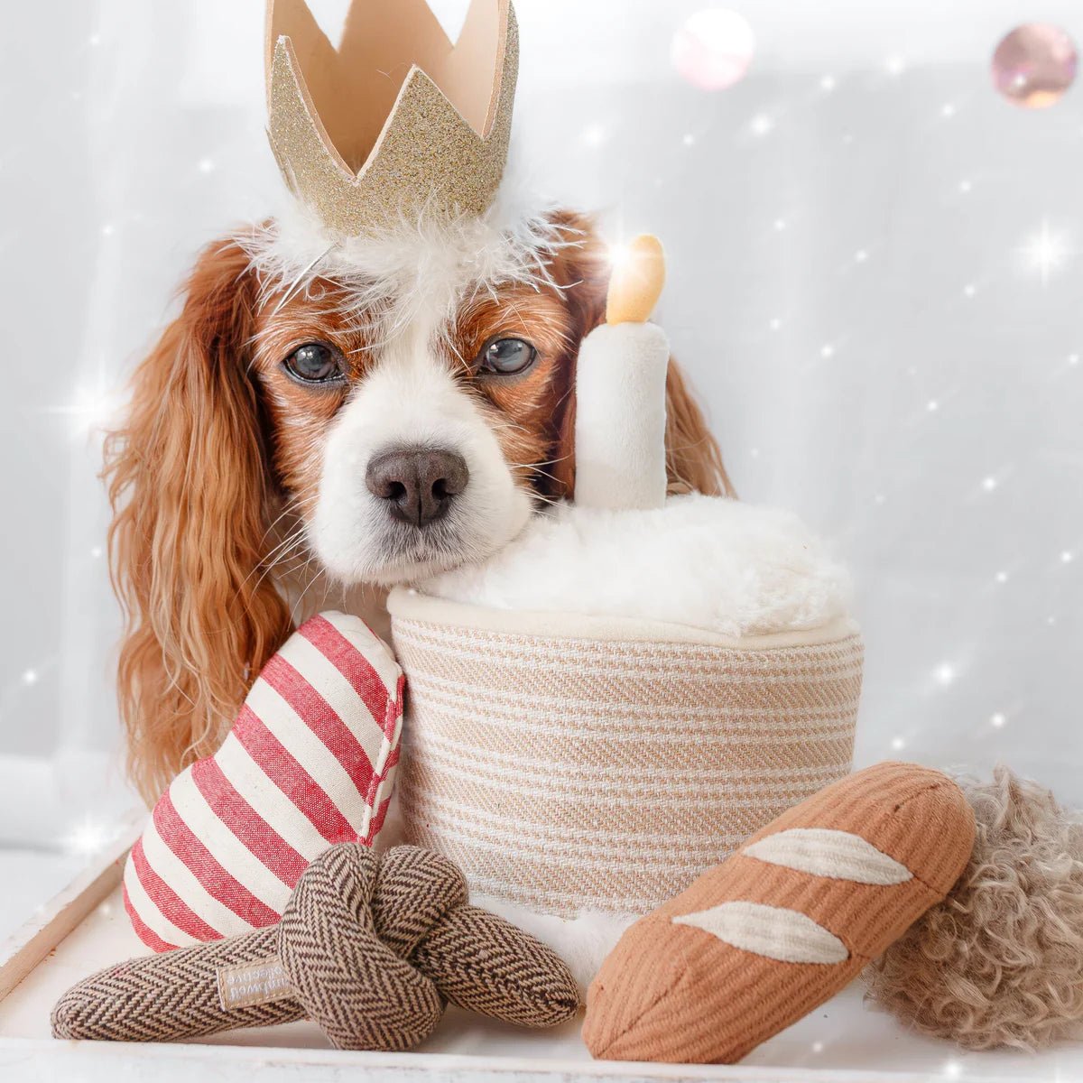 Cavalier King Charles Spaniel with soft enrichment toys, representing a calm and balanced canine lifestyle.