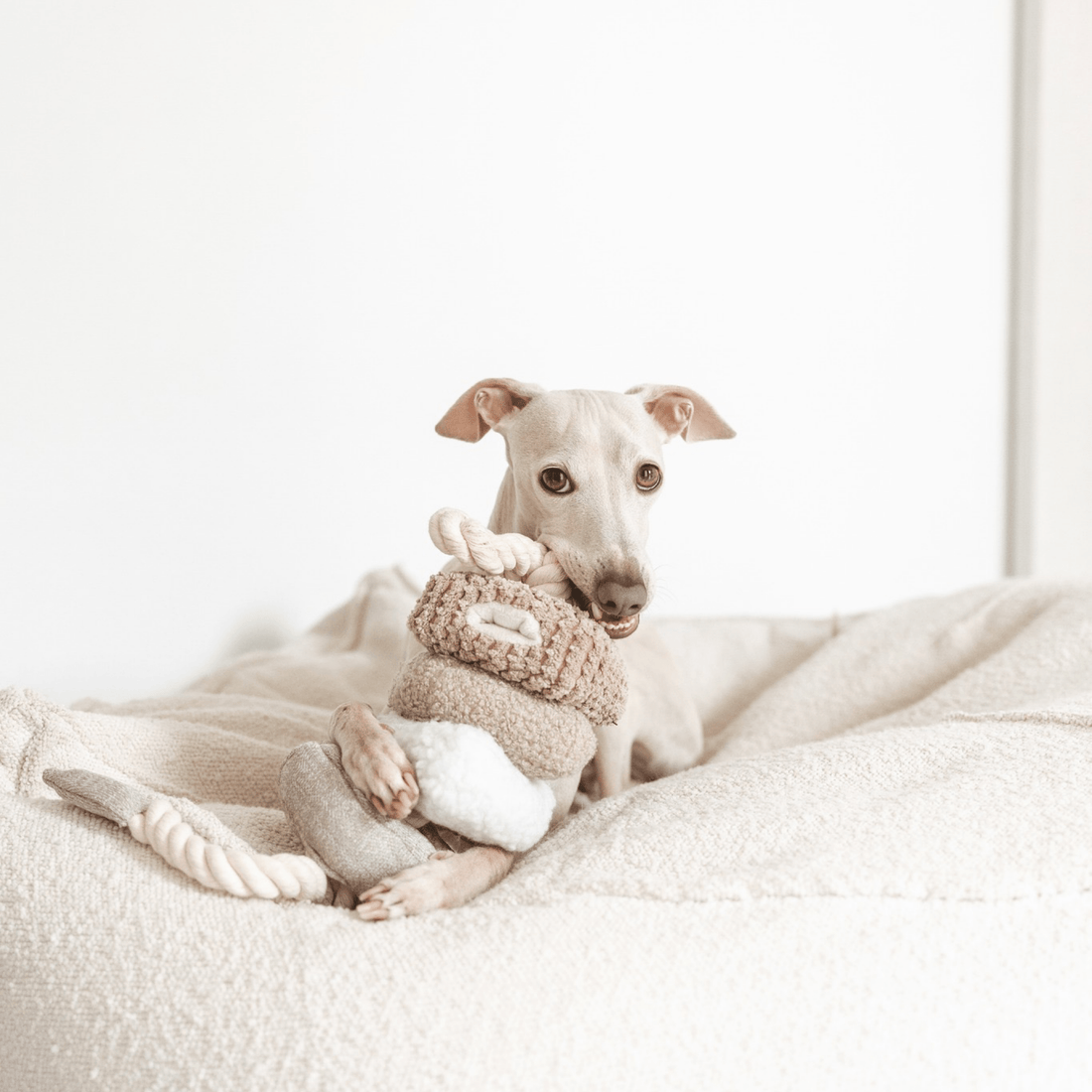 Bloc Set 4 - Woof Living