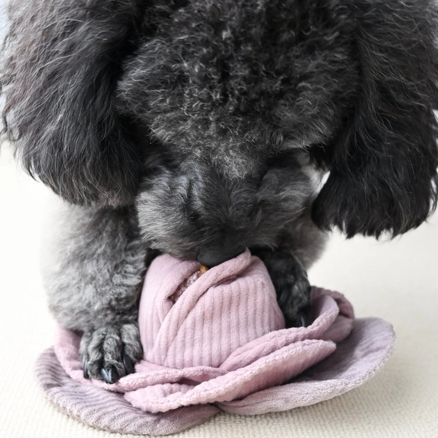 Cabbage Pop - Woof Living
