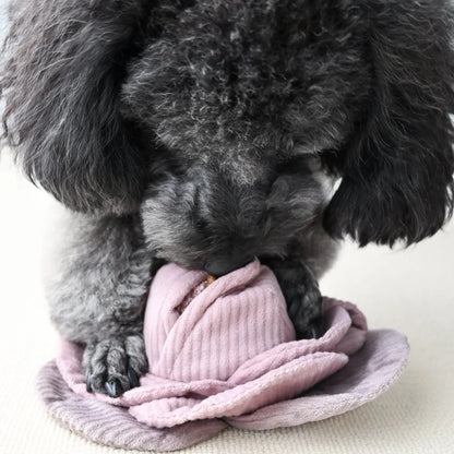 Cabbage Pop - Woof Living