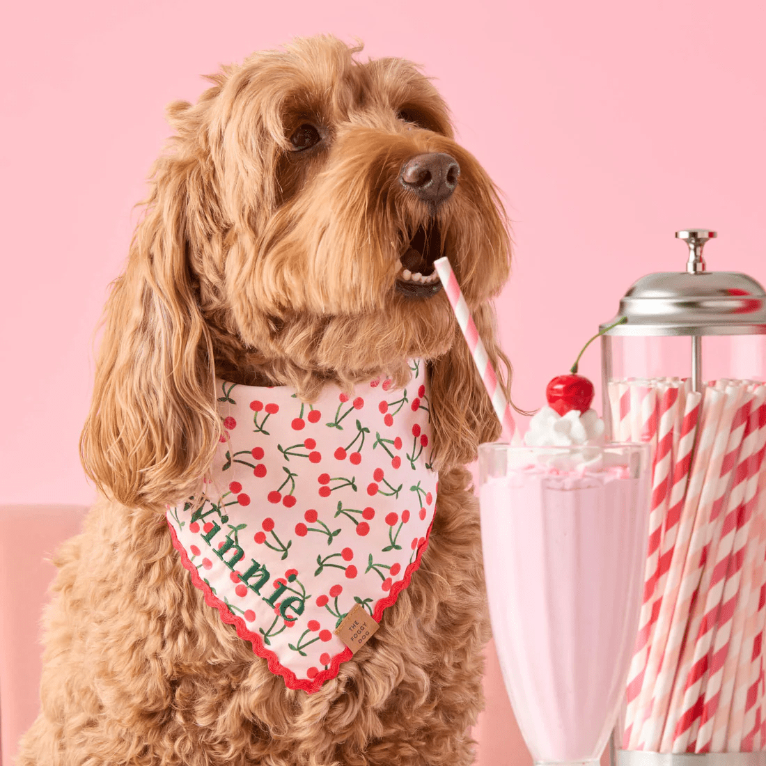 Cherry Jubilee Bandana - Woof Living