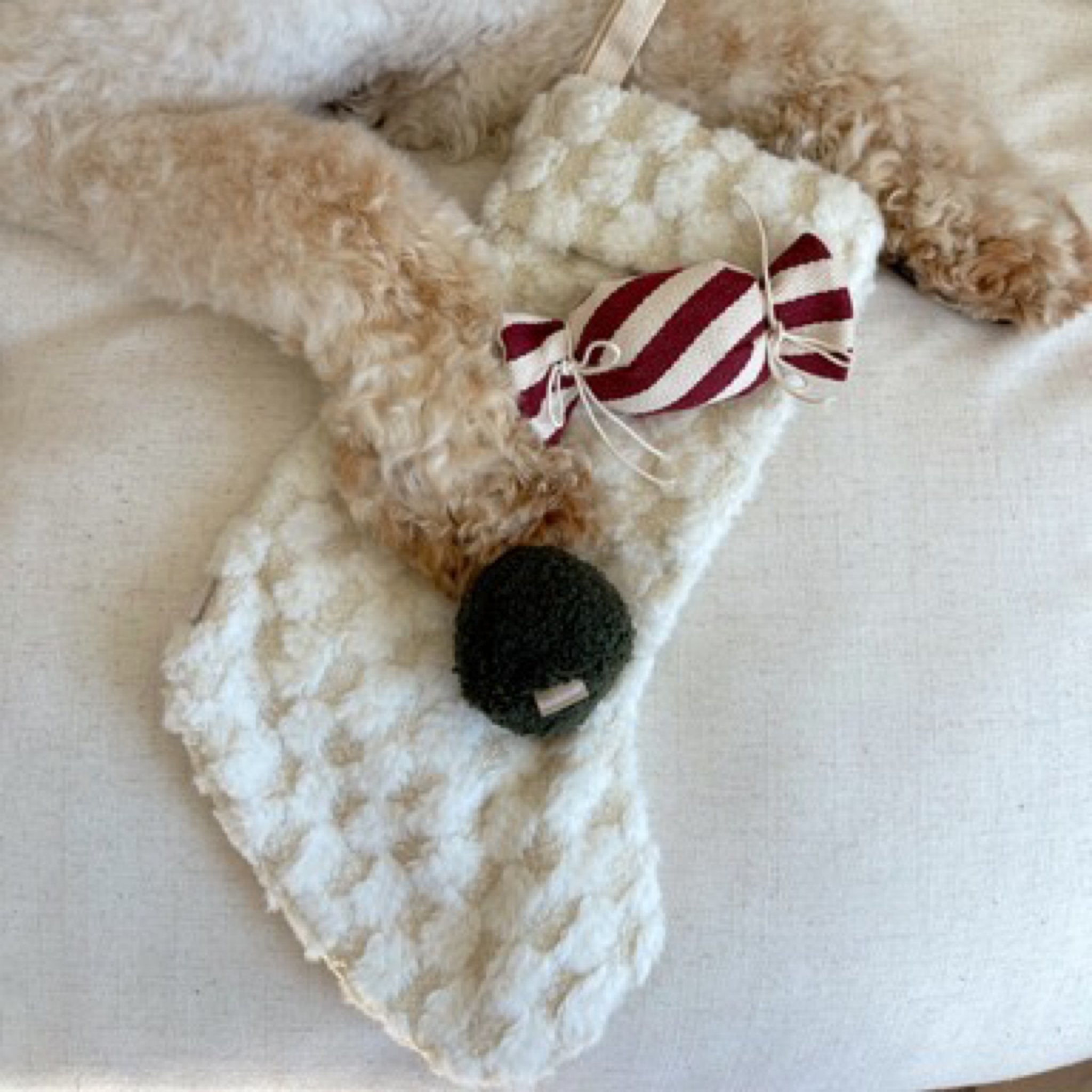 Christmas Stocking Set - Woof Living