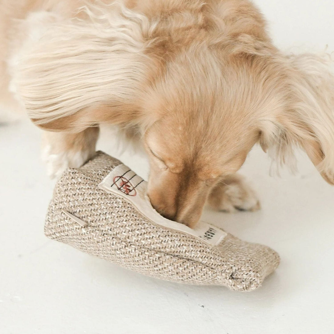 Coffee Beans - Woof Living