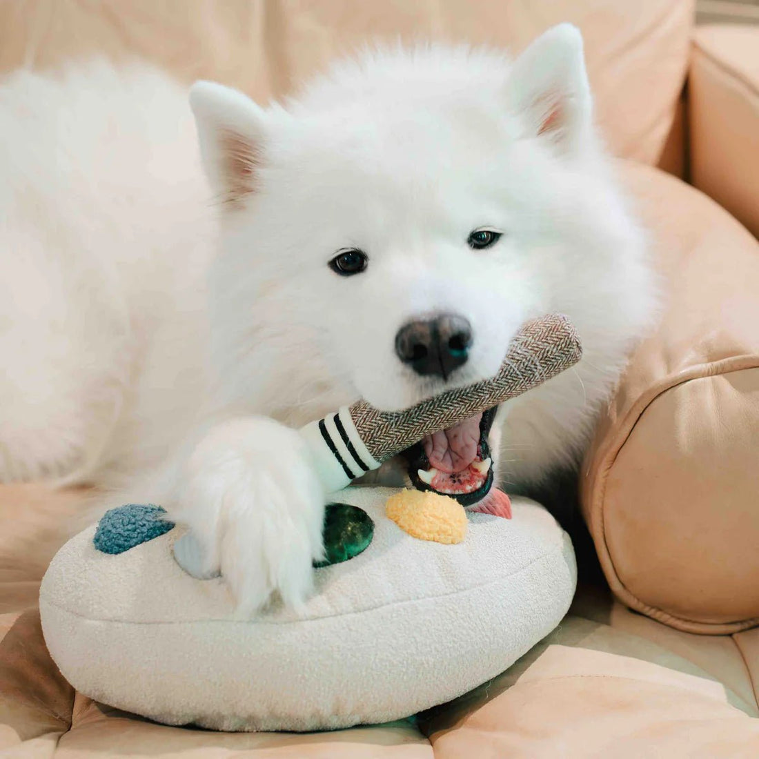 Colour Palette Set - Woof Living