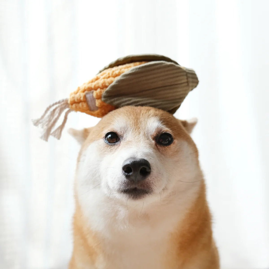Corn + Leek Set - Woof Living