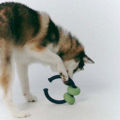 Dango Ring - Olive Green - Woof Living