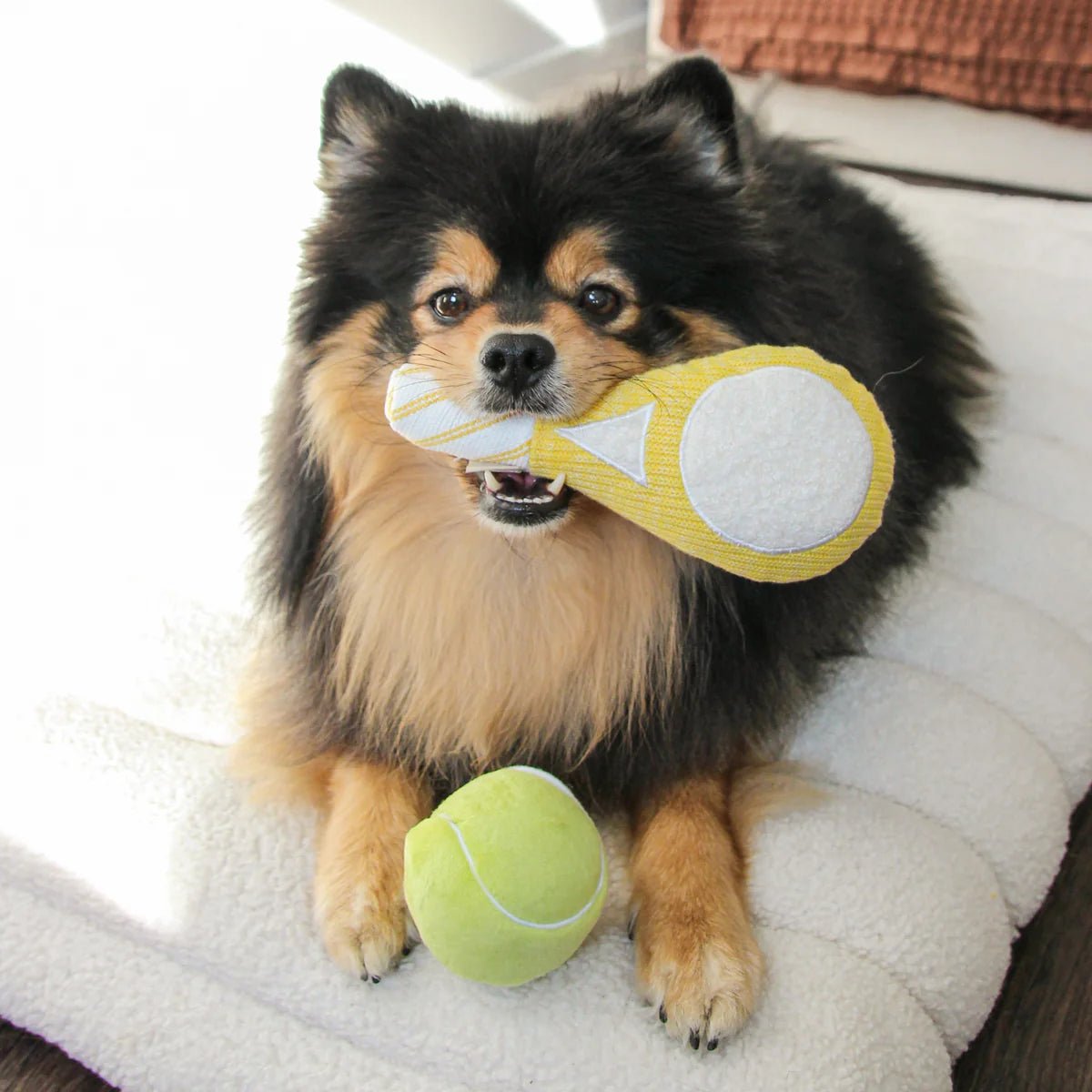 Doggie Tennis Pop - Woof Living