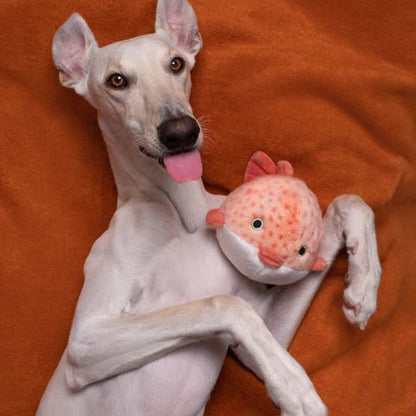 Dottie Pufferfish - Woof Living