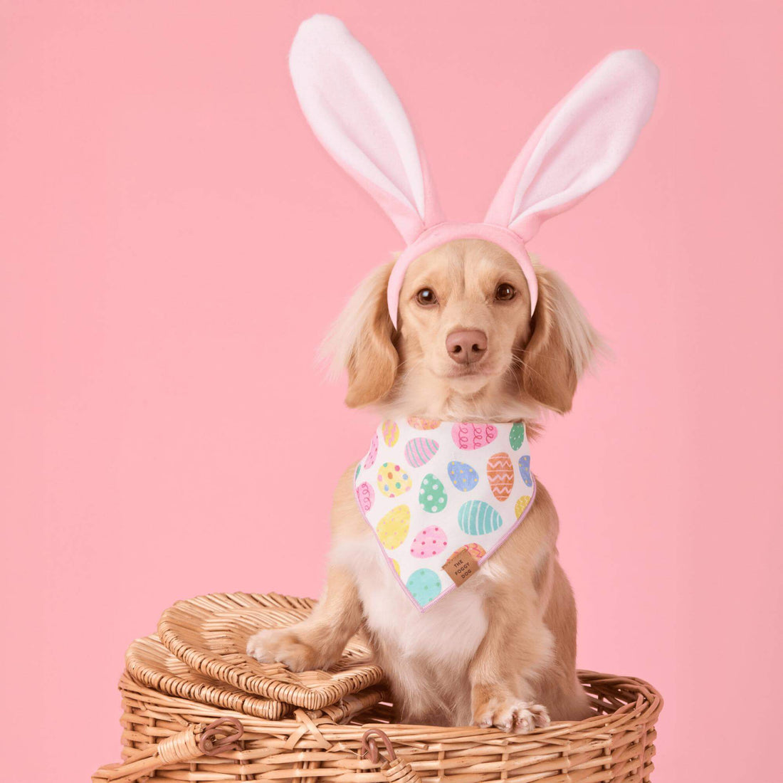 Easter Eggs Reversible Bandana - Woof Living