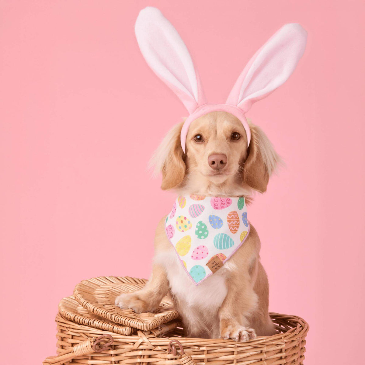 Easter Eggs Reversible Bandana - Woof Living