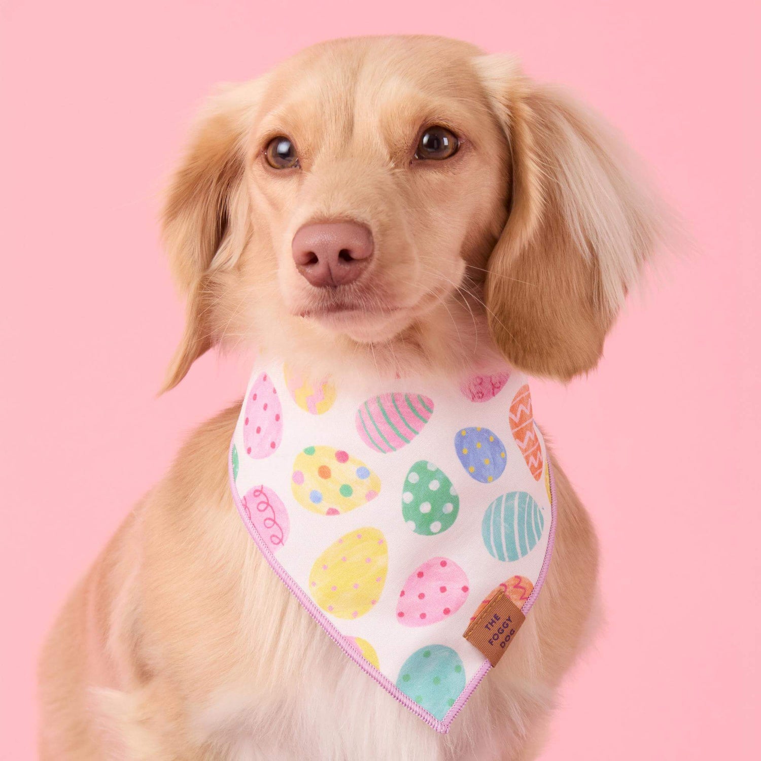 Easter Eggs Reversible Bandana - Woof Living
