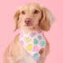 Easter Eggs Reversible Bandana - Woof Living