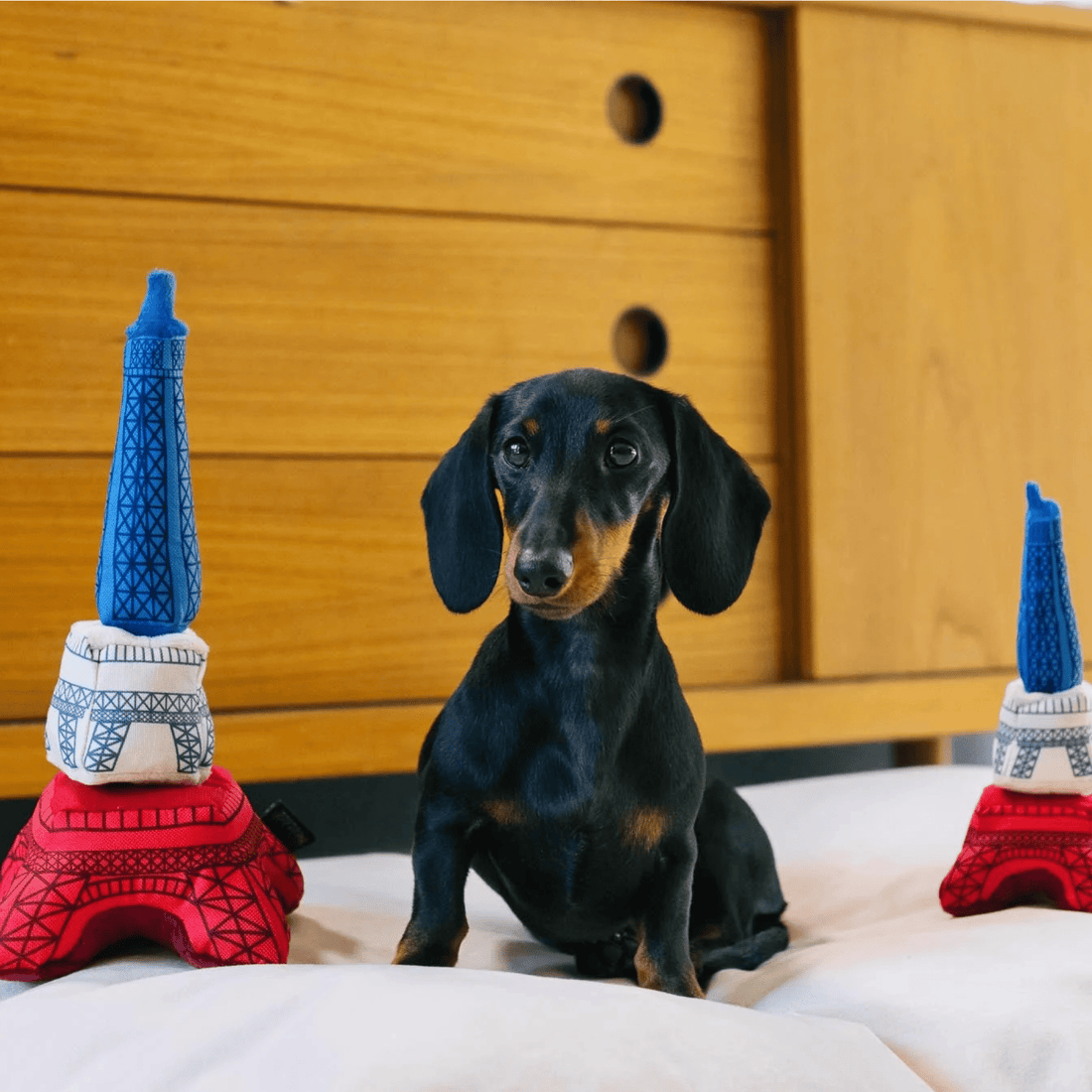 Eiffel Tower - Woof Living