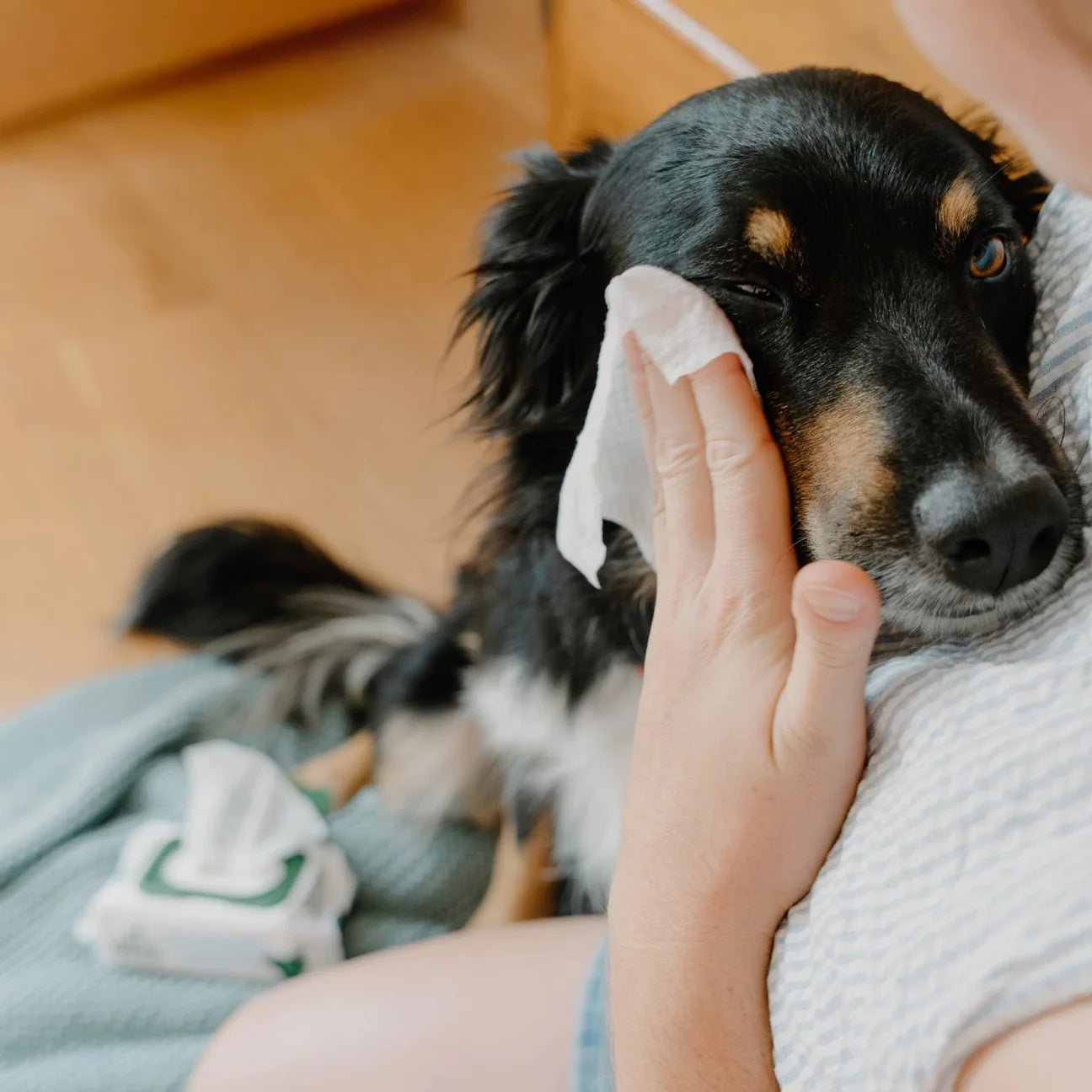 Eye Cleaning Bamboo Wipes - Woof Living